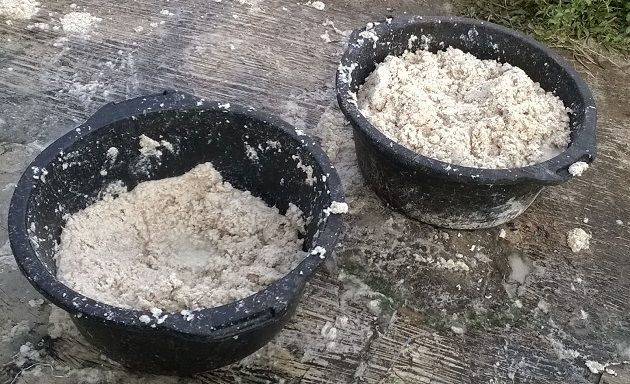 Ampas Tahu Pakan Ayam Alternatif