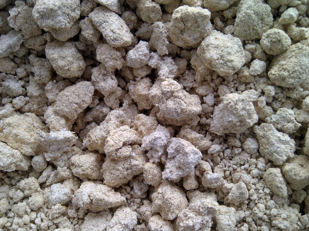 pati Onggok Pakan Ayam alternatif