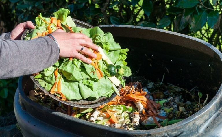  Cara  Membuat Tanah Kompos dari Bahan  Sampah Organik 